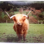 Hamish Chopping Board